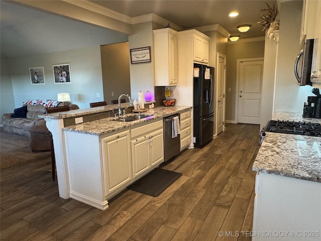 26815 E 142nd St S, Coweta, OK 74429 - kitchen featuring a sink, stainless steel appliances, ornamental molding, a peninsula, and open floor plan