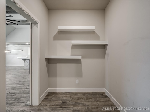 walk in closet featuring wood finished floors