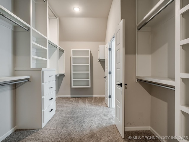 spacious closet with carpet