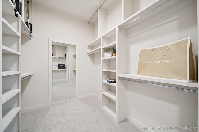 2607 E 135th Dr S, Bixby, OK 74008 - walk in closet with light colored carpet
