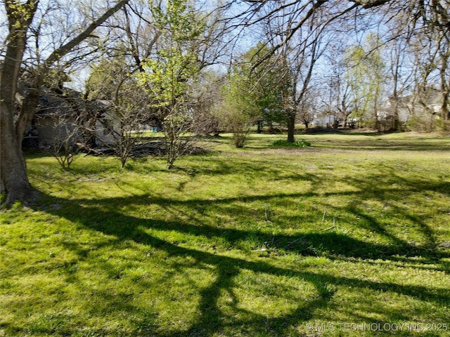 view of green lawn