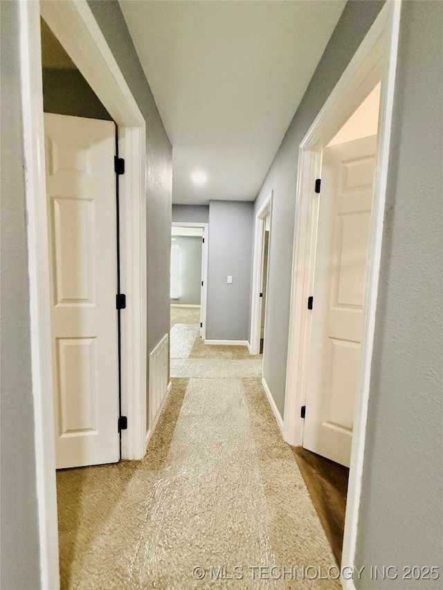 hall featuring baseboards and carpet floors
