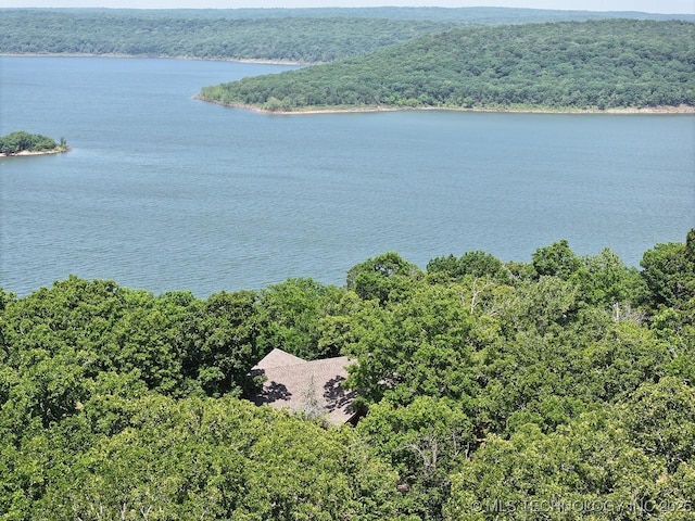 96729 S 4490, Vian, OK 74962 - aerial view of a heavily wooded area and a large body of water