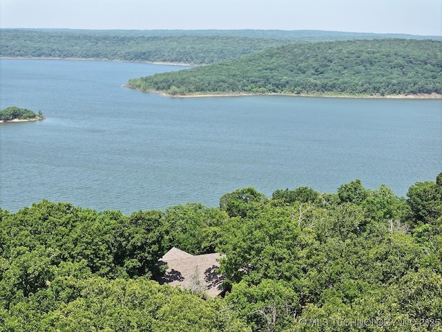 96729 S 4490, Vian, OK 74962 - water view with a forest