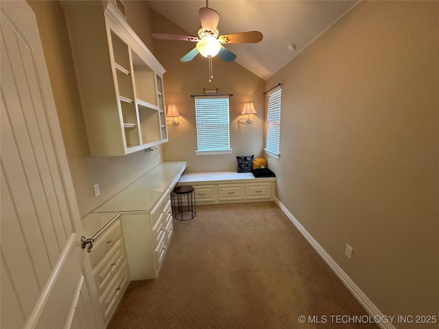 924 9th Ave SE, Ardmore, OK 73401 - unfurnished office with vaulted ceiling, ceiling fan, and light carpet