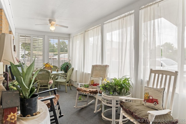 819 W Elm St, Durant, OK 74701 - sunroom with carpet flooring