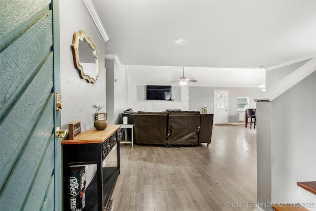living room featuring a ceiling fan, light wood finished floors, and crown molding