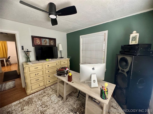 2009 S Osage Ave, Bartlesville, OK 74006 - home office with a textured ceiling, a ceiling fan, ornamental molding, and wood finished floors