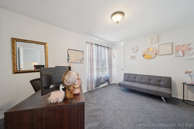 27108 E 82nd St S, Broken Arrow, OK 74014 - office with carpet flooring and baseboards