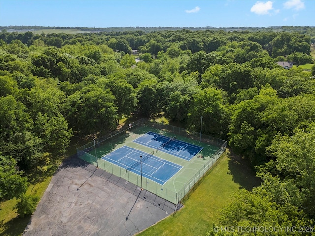 bird's eye view of a forest