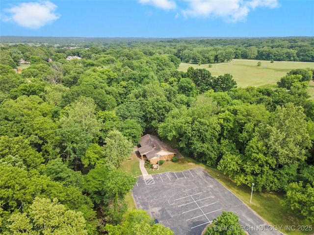 bird's eye view of a forest