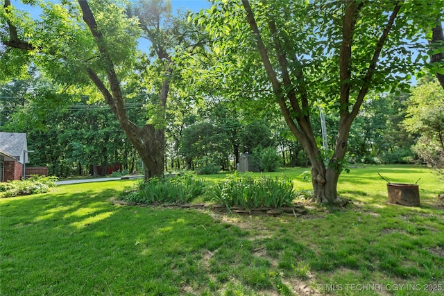 view of grassy yard with view of scattered trees