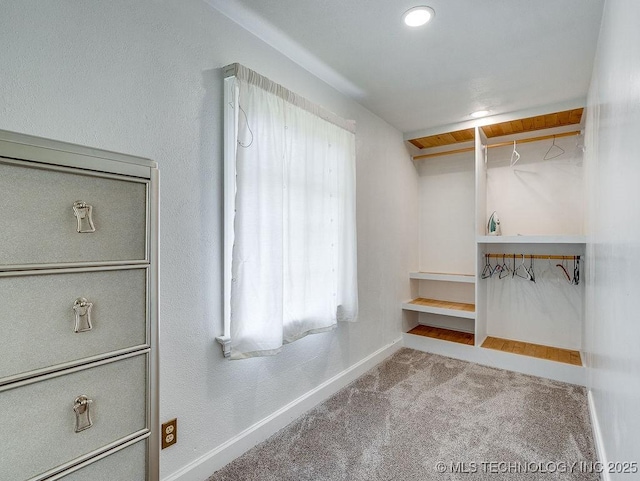 spacious closet featuring carpet floors