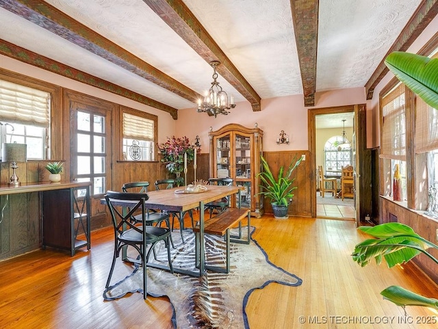 dining space with plenty of natural light, wooden walls, wood-type flooring, a wainscoted wall, and beamed ceiling