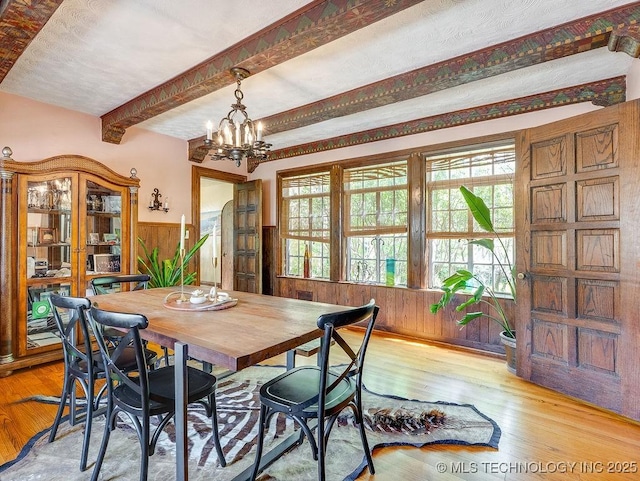 dining room featuring beamed ceiling, wainscoting, light wood-style flooring, wood walls, and plenty of natural light