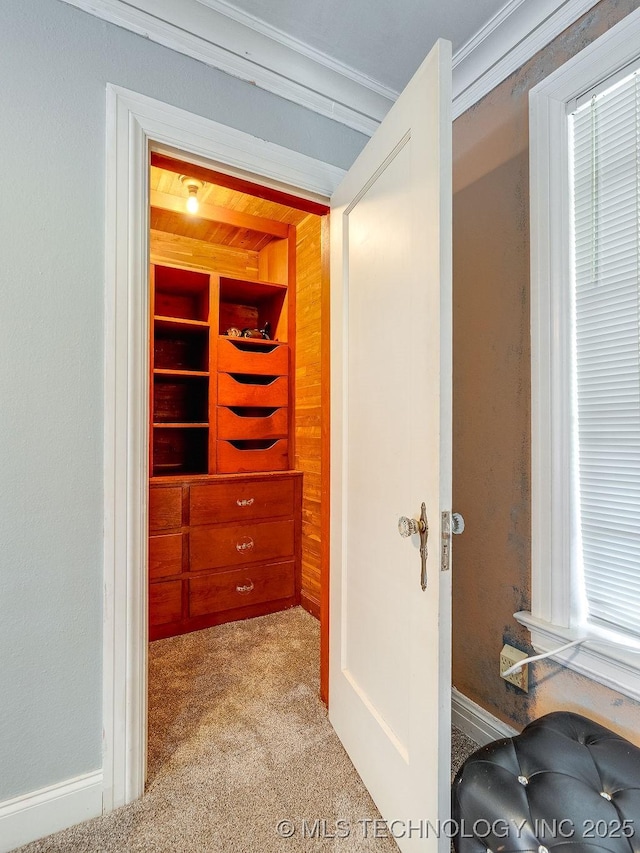 spacious closet with carpet flooring