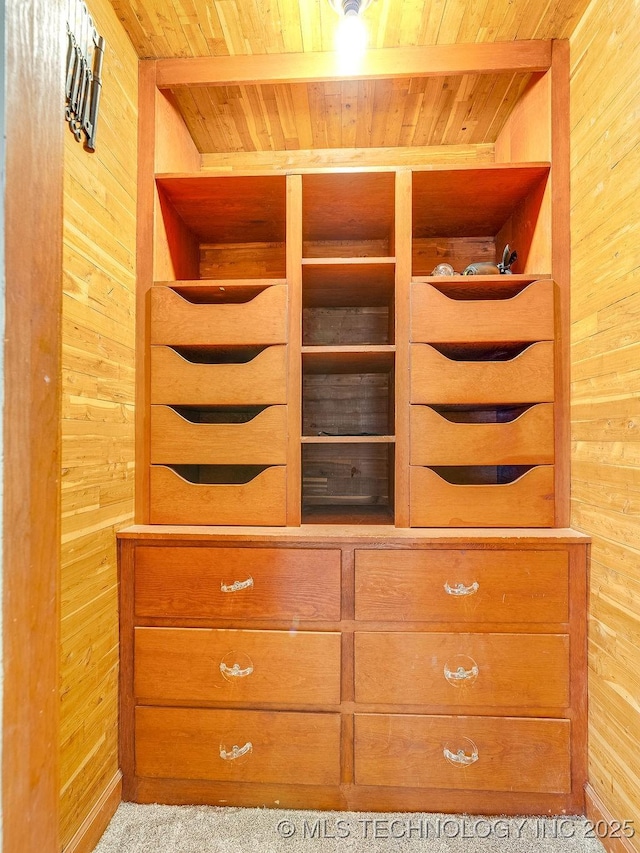 view of closet