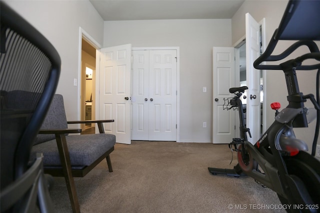 3983 S 216th E Ave, Broken Arrow, OK 74014 - exercise area featuring carpet flooring