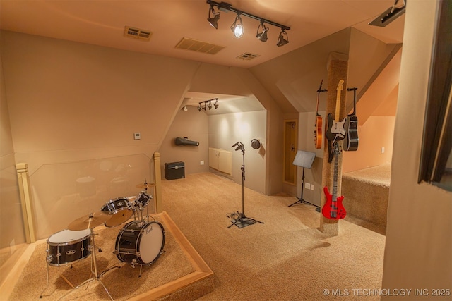 3107 E 88th St, Tulsa, OK 74137 - bathroom with rail lighting and vaulted ceiling