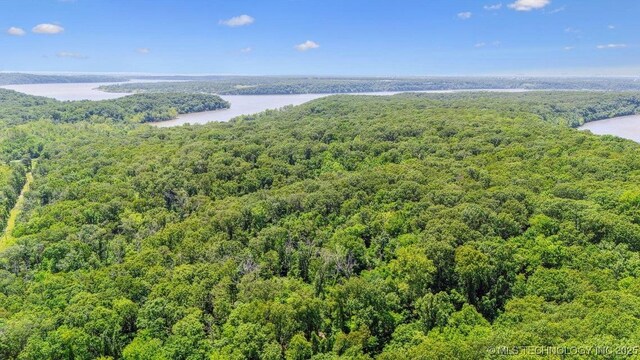 E 202 Road, Wyandotte, OK 74370
