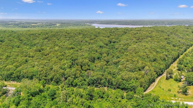 E 202 Road, Wyandotte, OK 74370