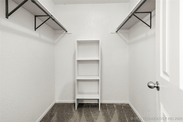 7911 E 66th St Unit 45H, Tulsa, OK 74133 - spacious closet featuring carpet floors