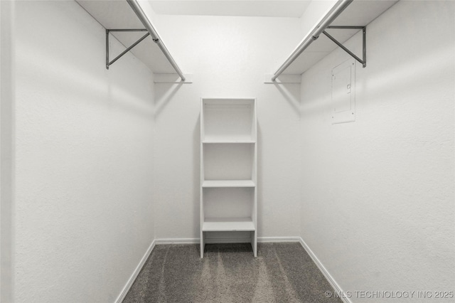 7911 E 66th St Unit 45H, Tulsa, OK 74133 - walk in closet featuring carpet floors and electric panel