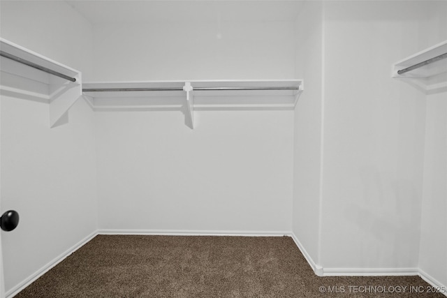11412 E 93rd Pl, Owasso, OK 74055 - walk in closet with carpet flooring