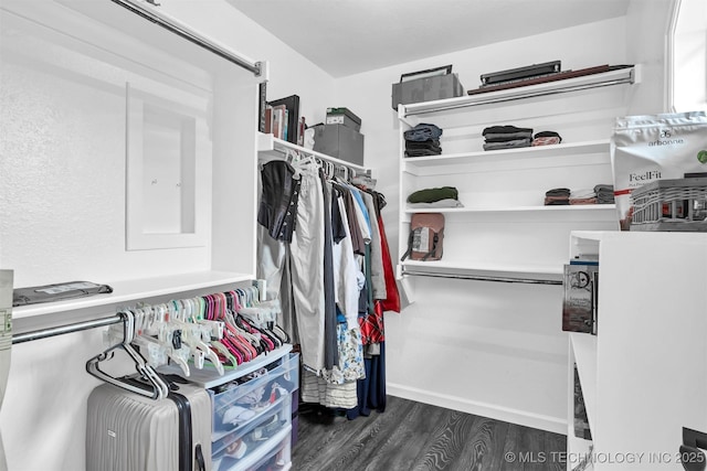 walk in closet featuring dark wood-style floors