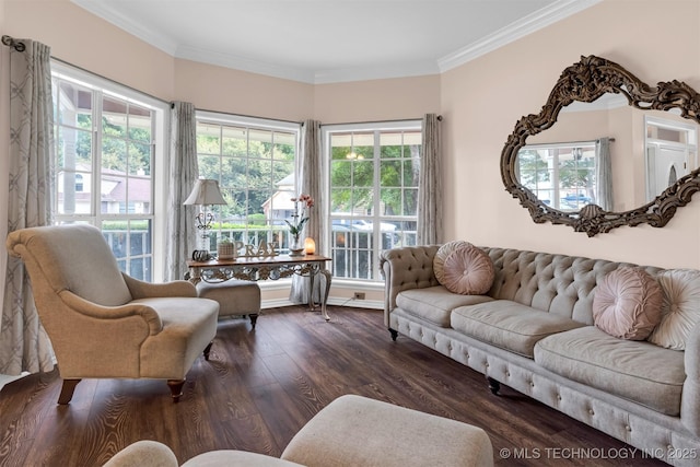 living room featuring crown molding and wood finished floors