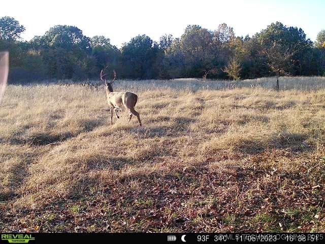 1 N 4256th Rd, Checotah, OK 74426