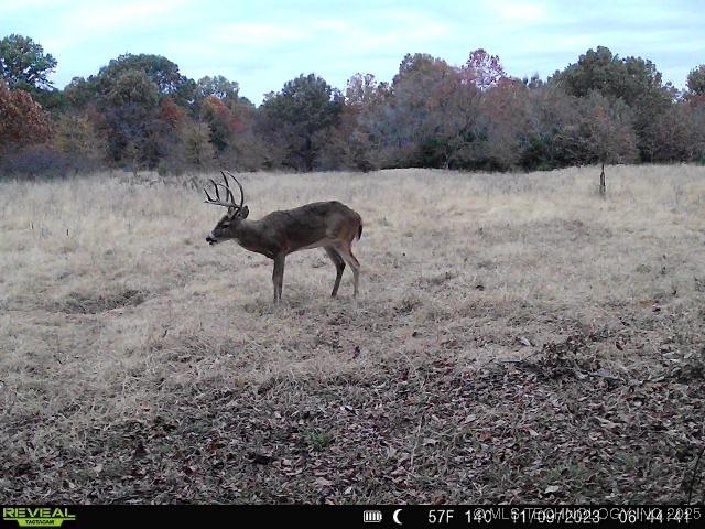1 N 4256th Rd, Checotah, OK 74426