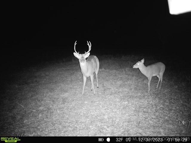 1 N 4256th Rd, Checotah, OK 74426