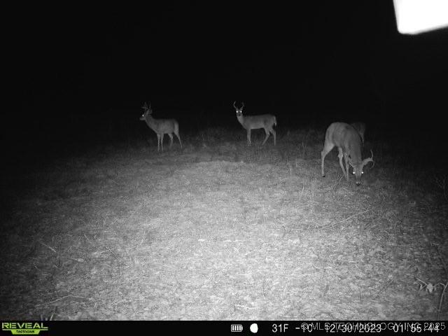 1 N 4256th Rd, Checotah, OK 74426