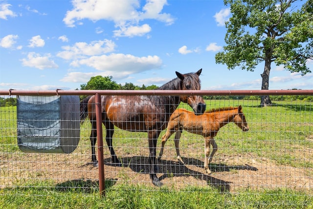 37969 County Road 1590, Coalgate, OK 74538 - photo 64