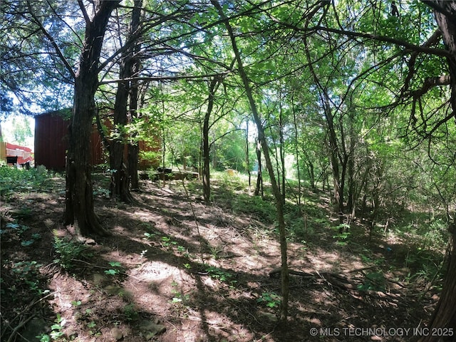 808 N Norfolk Rd, Yale, OK 74085 - view of local wilderness