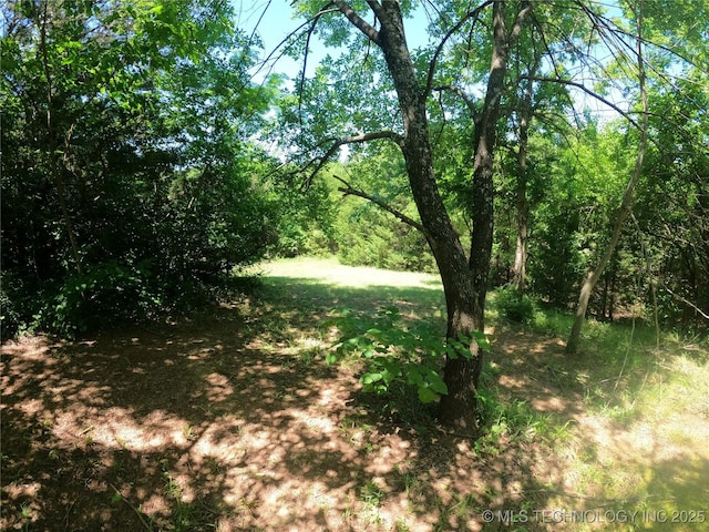 808 N Norfolk Rd, Yale, OK 74085 - view of undeveloped land