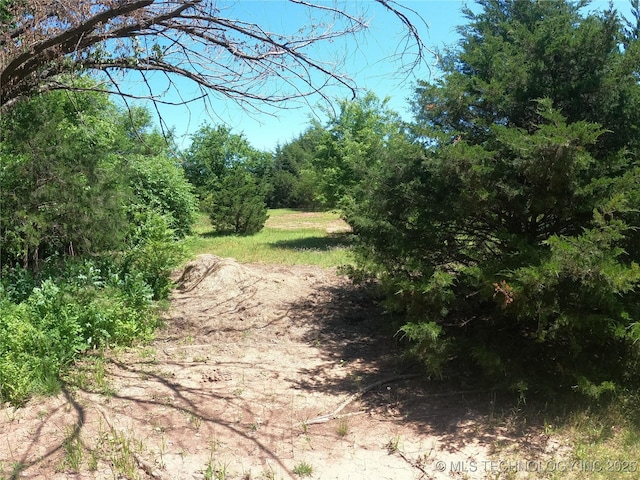 808 N Norfolk Rd, Yale, OK 74085 - view of undeveloped land