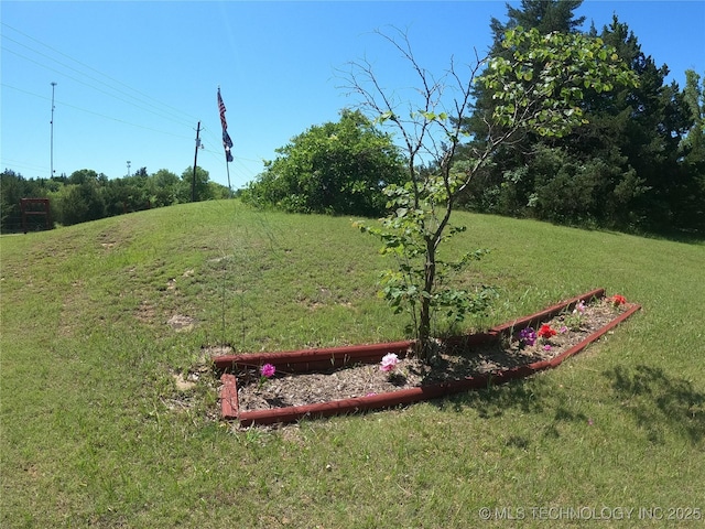 808 N Norfolk Rd, Yale, OK 74085 - view of property's community with a yard