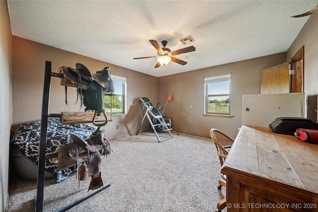 1202 S Oak Grove Rd, Cushing, OK 74023 - carpeted office space featuring ceiling fan, healthy amount of natural light, and a textured ceiling