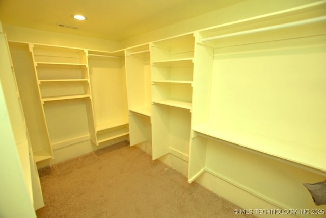 98926 S 4610th Rd, Marble City, OK 74945 - spacious closet with light colored carpet