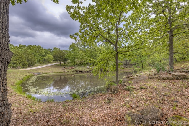 4157 New Prue Rd, Sand Springs, OK 74063 - water view featuring a heavily wooded area