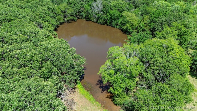 32410 W 301st St S, Bristow, OK 74010 - drone / aerial view of a large body of water