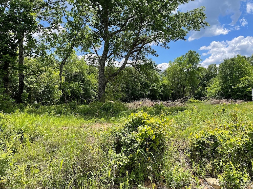 1197 Burns, Blanco, OK 74528 - photo 1