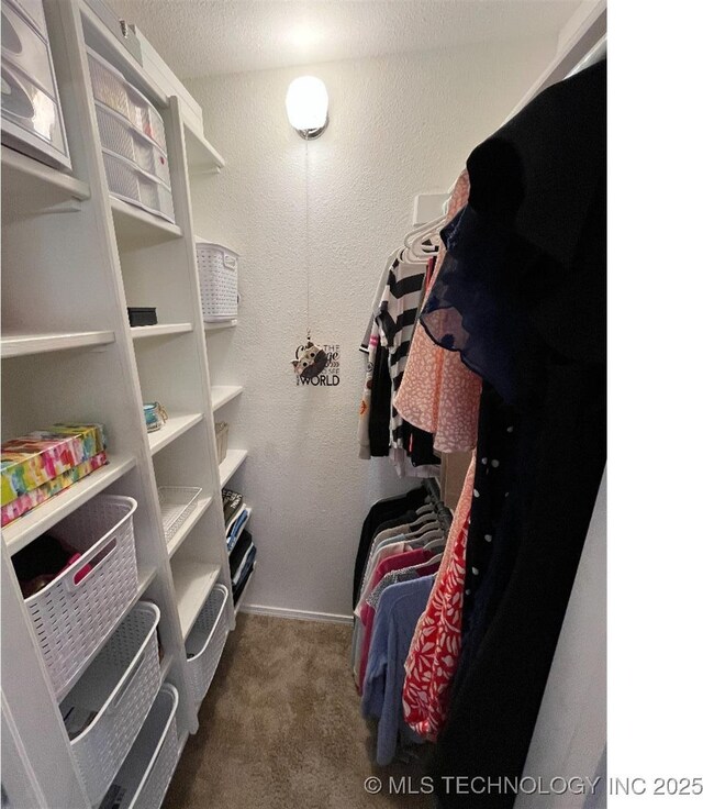 19416 E 38th St S, Broken Arrow, OK 74014 - spacious closet with carpet flooring