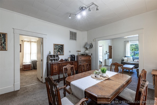317 E 4th St, Claremore, OK 74017 - carpeted dining space with crown molding, track lighting, and baseboards