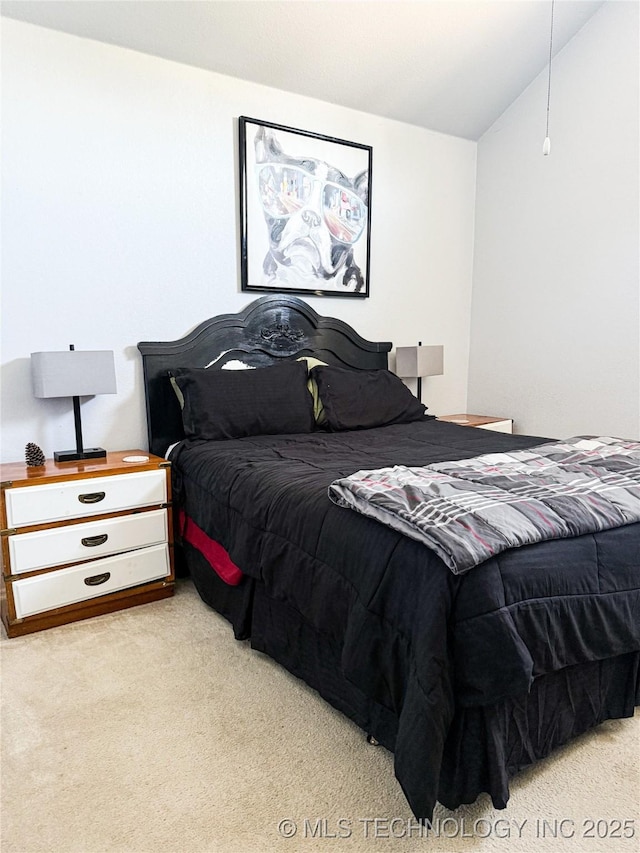 27434 E 113th St, Coweta, OK 74429 - bedroom featuring light carpet and lofted ceiling