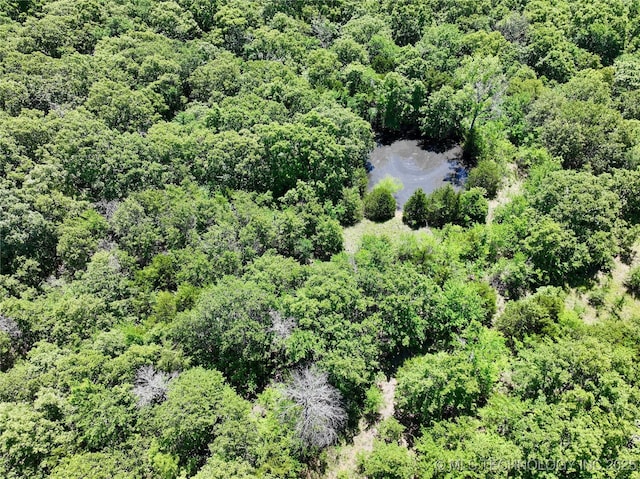 51808 E Private 1621, Roff, OK 74865 - bird's eye view of a forest and a nearby body of water