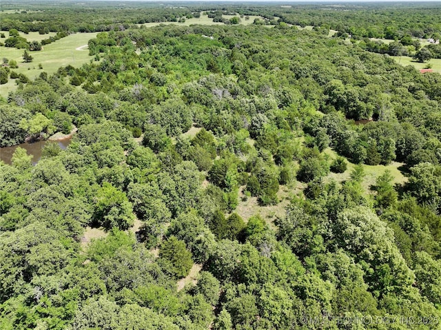 51808 E Private 1621, Roff, OK 74865 - drone / aerial view of a forest