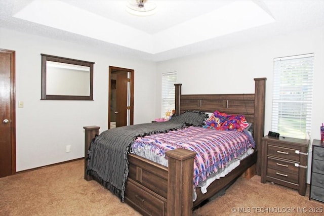 1146 E 137th St, Glenpool, OK 74033 - bedroom with a raised ceiling, light carpet, and baseboards
